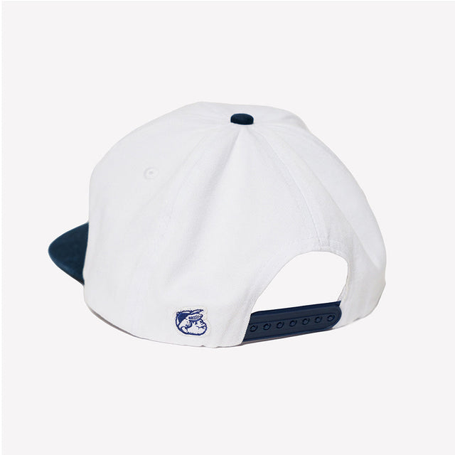 BASIC CAP