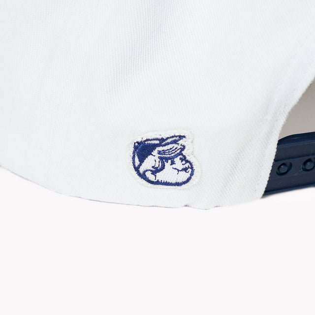 BASIC CAP