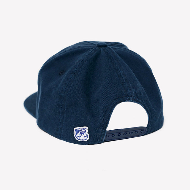 BASIC CAP