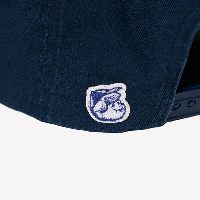 BASIC CAP