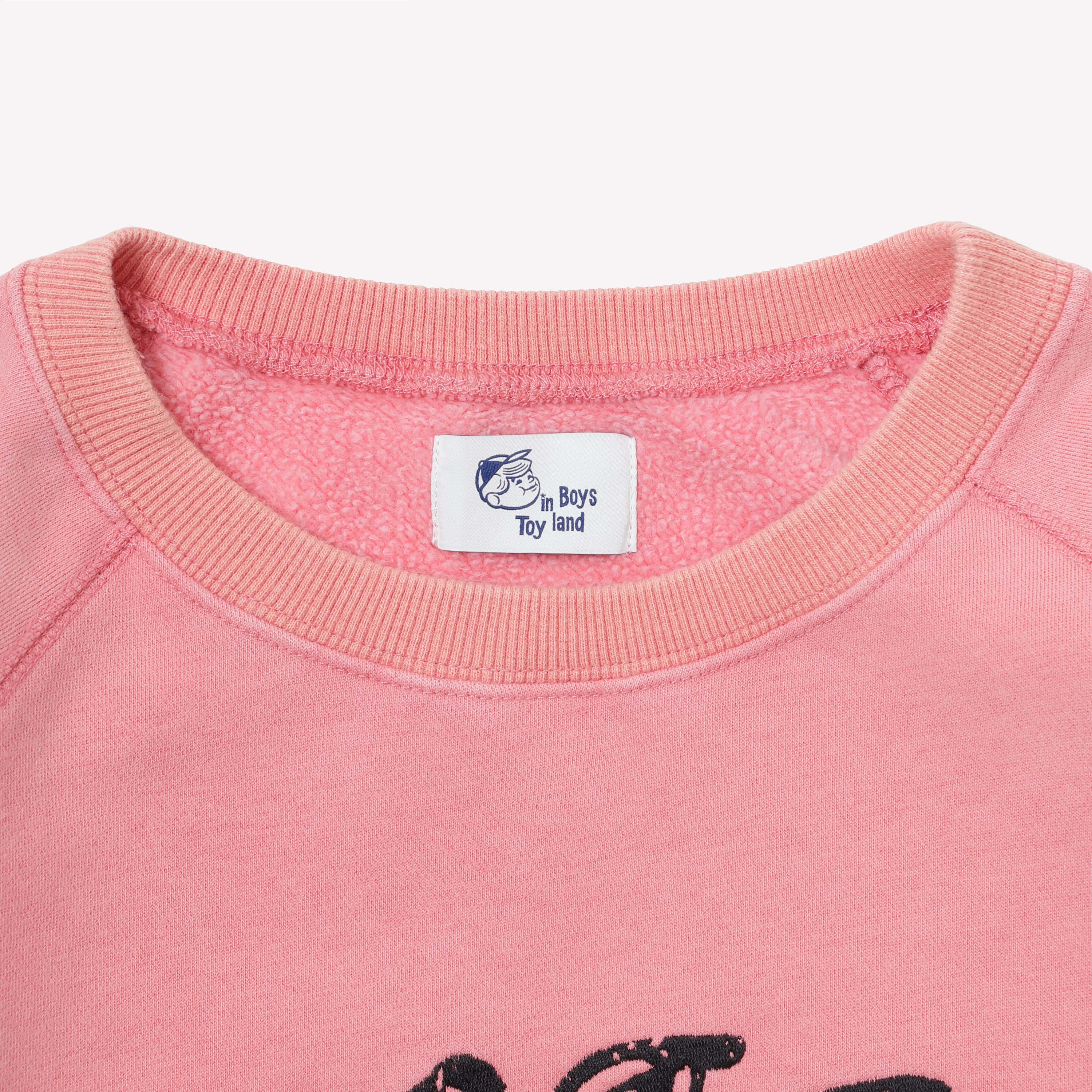 GRAPHIC RAGLAN SWEAT - PINK